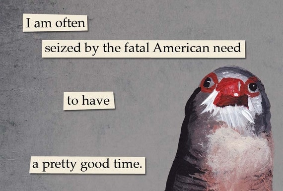 American Need - bird RECTANGLE MAGNET
