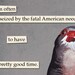 American Need - bird RECTANGLE MAGNET