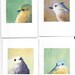 Four Birds Notecard Set