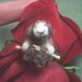 Little knitting Sheep