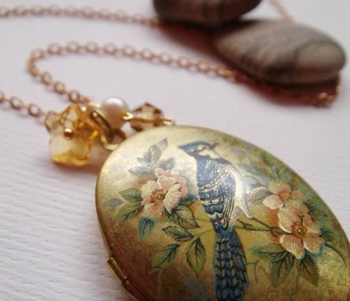 sepia locket . blue jay .