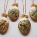 sepia locket . blue jay .