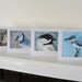 Bird Art Blank Cards Blue Gray Grey Birds Owl Kingfisher Chickadee Blue Jay Cards Set of 4