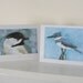Bird Art Blank Cards Blue Gray Grey Birds Owl Kingfisher Chickadee Blue Jay Cards Set of 4