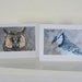 Bird Art Blank Cards Blue Gray Grey Birds Owl Kingfisher Chickadee Blue Jay Cards Set of 4