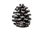 PINE CONE Small unmounted rubber stamp No.19