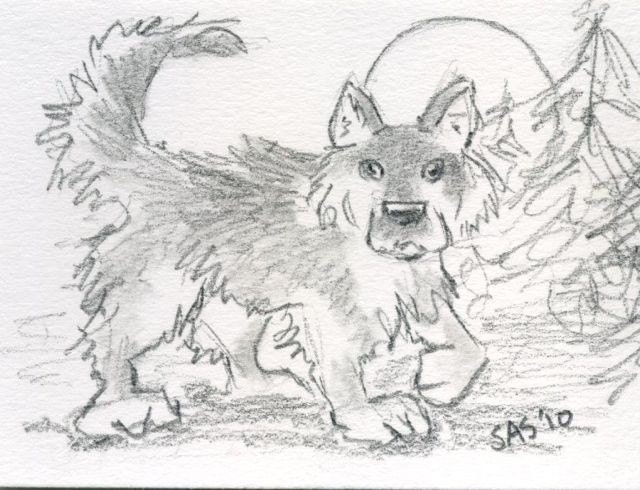 pencil wolf drawing