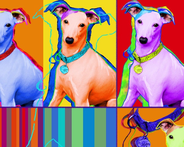Louie the Italian Greyhound Print