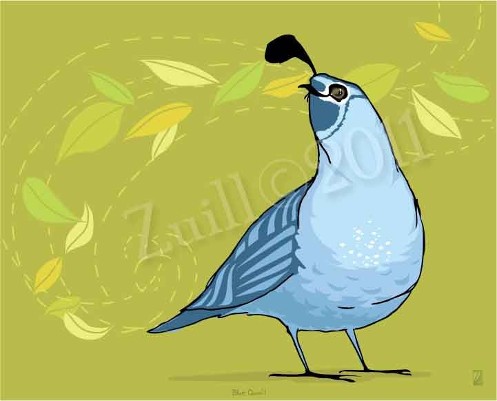 Blue Quail, Limited Edition Print