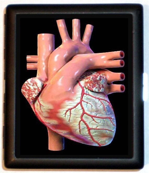 Human Heart Replica Mediacl Anatomy ART Cigarette or ID or Business or ID Case Wallet New