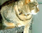 Kitty Cat Collar -Laborite, Wood Bead, Shell Necklace