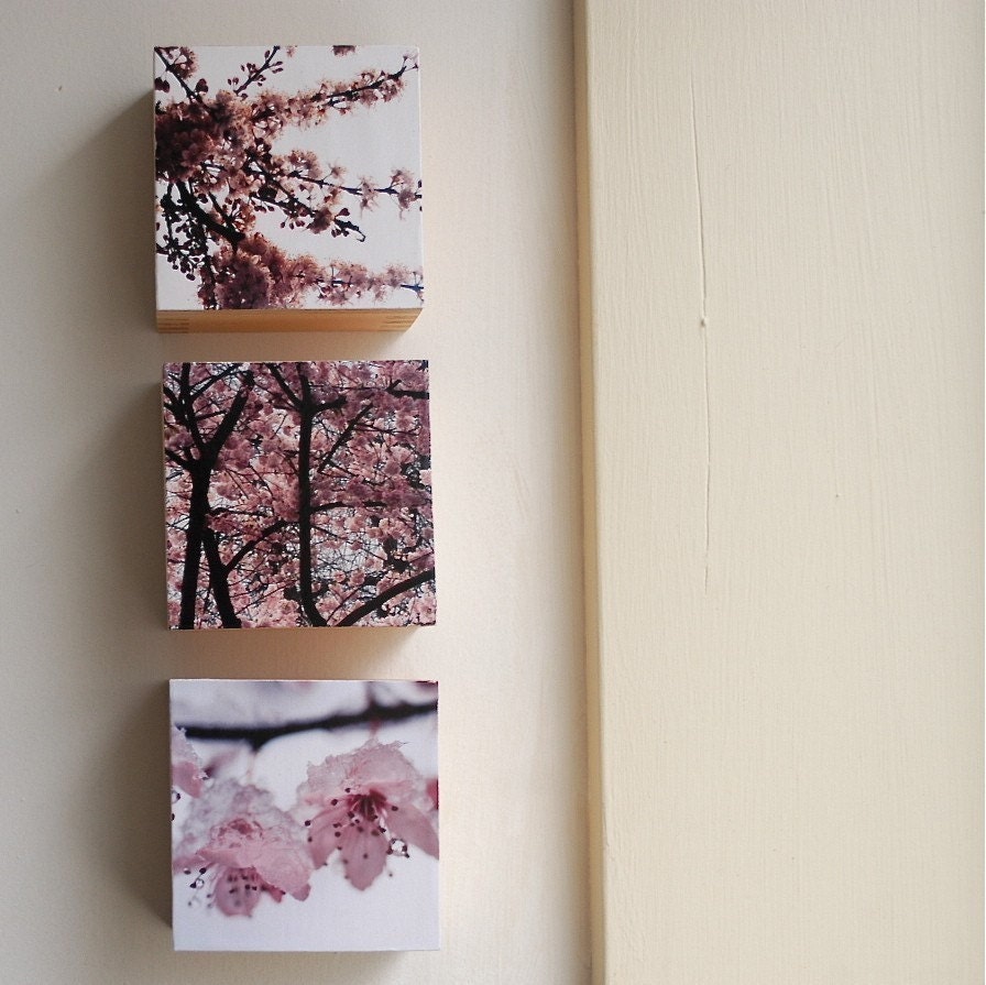 Cherry Blossom Tryptic. Photo blocks - photographs on wooden blocks.