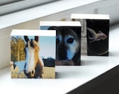 How to Mount your Photos and Print Art to WOOD- be a professional, like me.