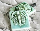 Ceramic tile Fossil Ornaments to decorate your home - homegrown NYS variey - Trilobite and Cephalopod