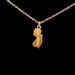 Teensy State Charm Necklace