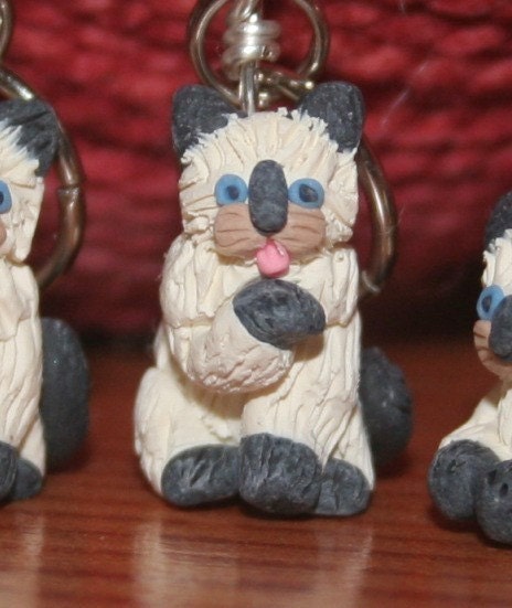 Seal Point Kittens (set of 4)