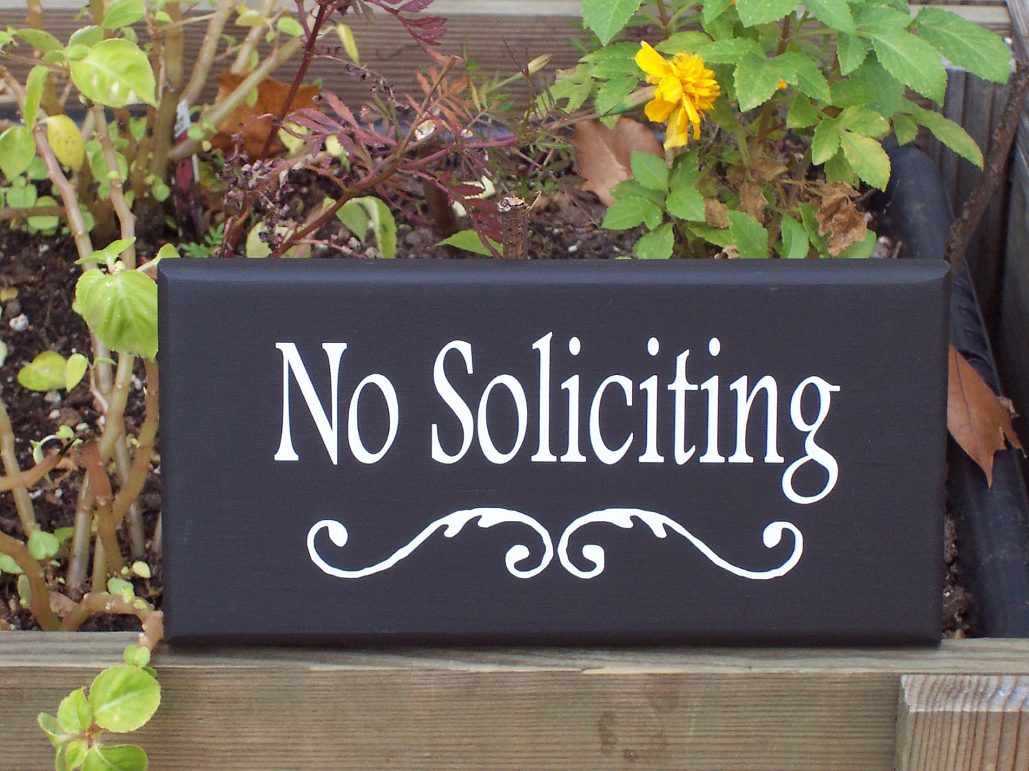 No Soliciting Wood Vinyl Sign with Scroll  -  Exterior Outdoor Sign Hanger Home Decor