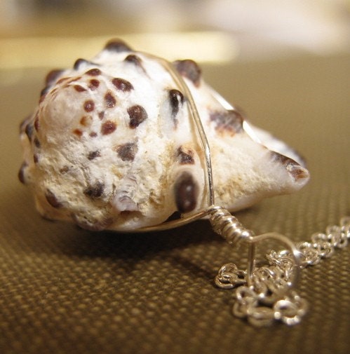 Spotty Shell Necklace