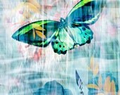 Echoes of Nature 2 - small digital art photo collage