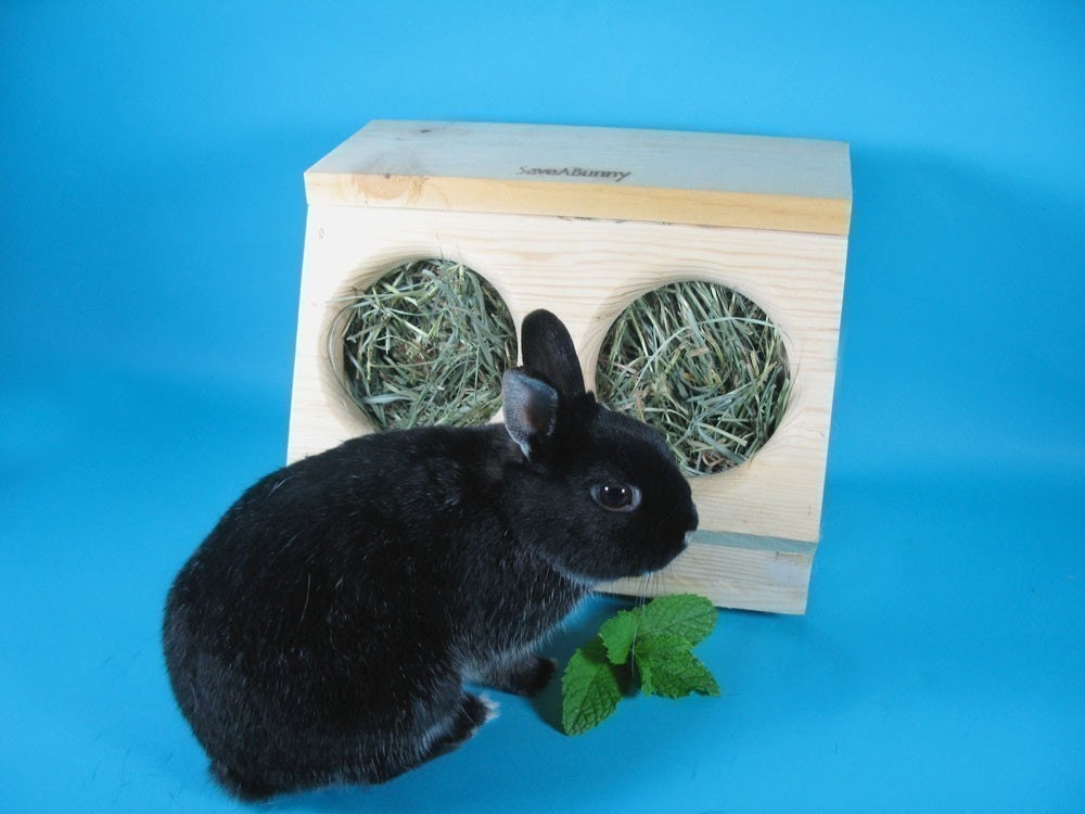 SaveABunny's Hay Saver- Double Hole Box