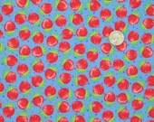 Laminated Cotton Fabric - Strawberry Lemonade (blue) by Me and My Sisters for Moda - 1 Yard