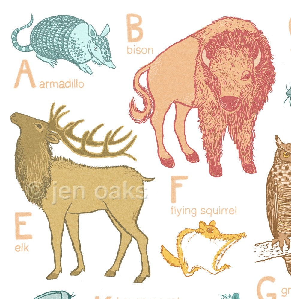 ABC Animal Print - Oklahoma Animals - 13x19