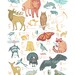 ABC Animal Print - Oklahoma Animals - 10 x 13