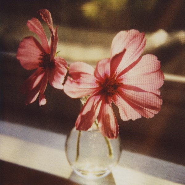 pink flowers polaroid print