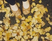 fall feet 8x8 polaroid print