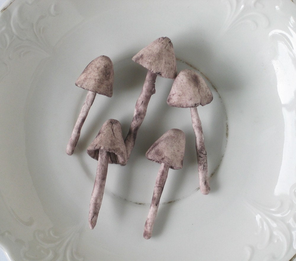 5 handmade mushies