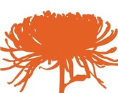 8x10 - Dahlia No. 6 - Modern Art Print