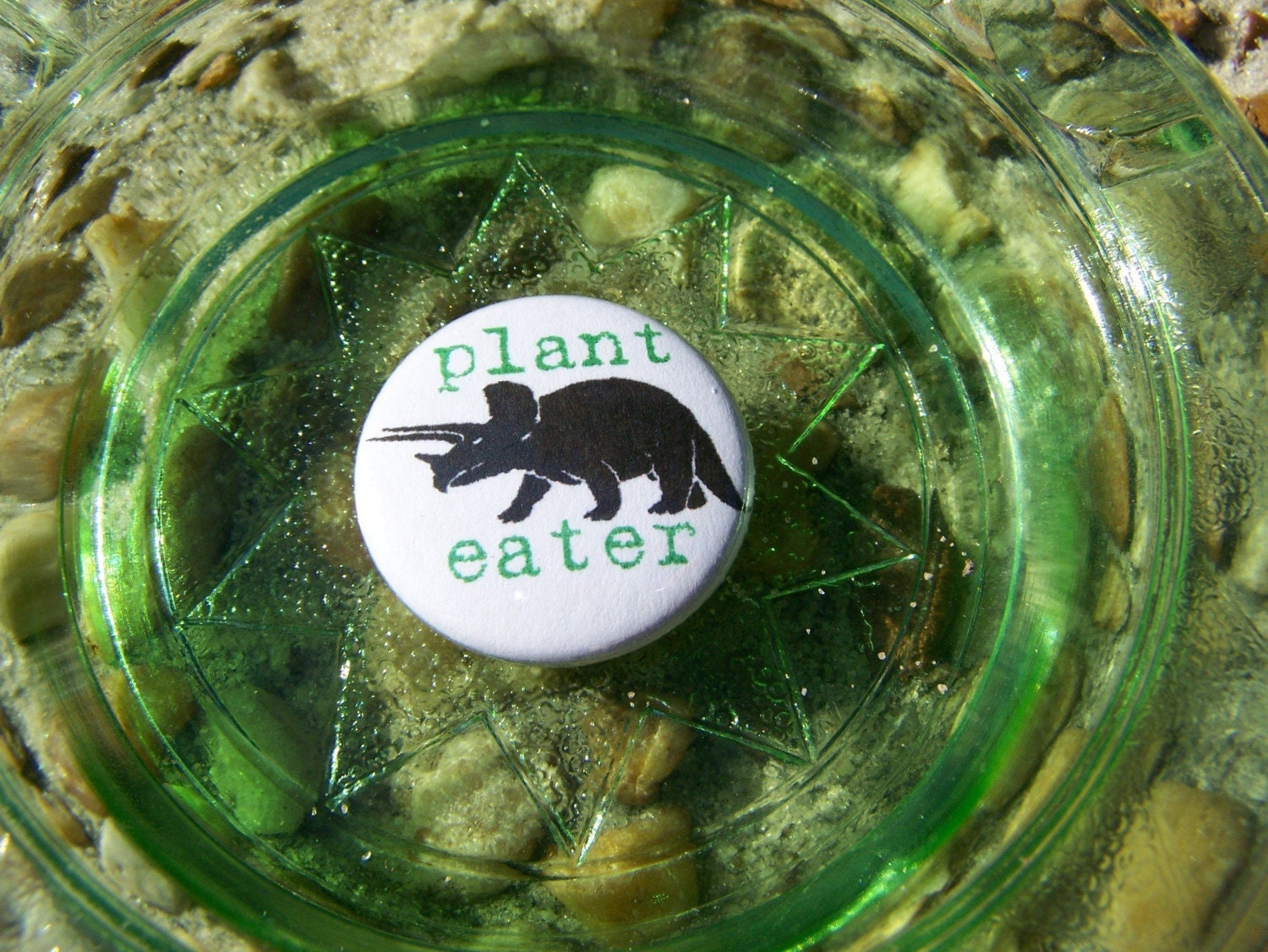 triceratops plant eater 1 inch pinack