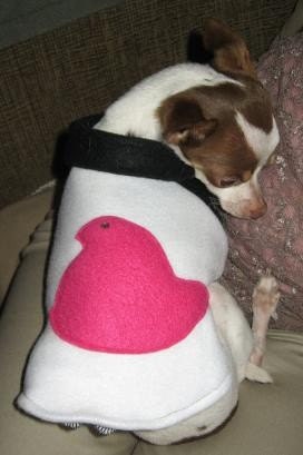 Easter Bunny or Chick Peep fleece dog shirt in sizes XXS, XS, XS/S, and S