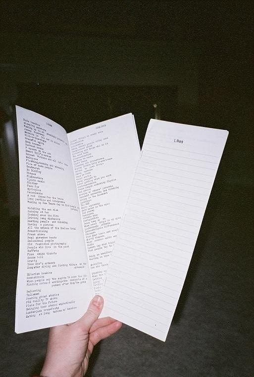 Likes/Dislikes zine