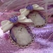 Glamour Kitten Cameo Earrings