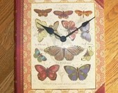 Papilio TIME