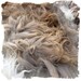 Mystery Fleece for Spinning and Doll Makers - 11 ounces
