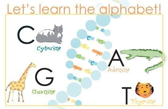 DNA for babies - let's learn the alphabet