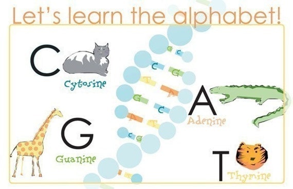 DNA for babies - let's learn the alphabet