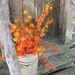 CHINESE LANTERNS fresh cut bunches for FALL decoration Shipping Included