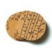 Winter Birch Cork Coaster Set