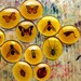 Custom Insect Mega Magnets \/ Entomology