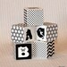 Large Animal Critter Alphabet Wood Blocks in Black and White set of 13