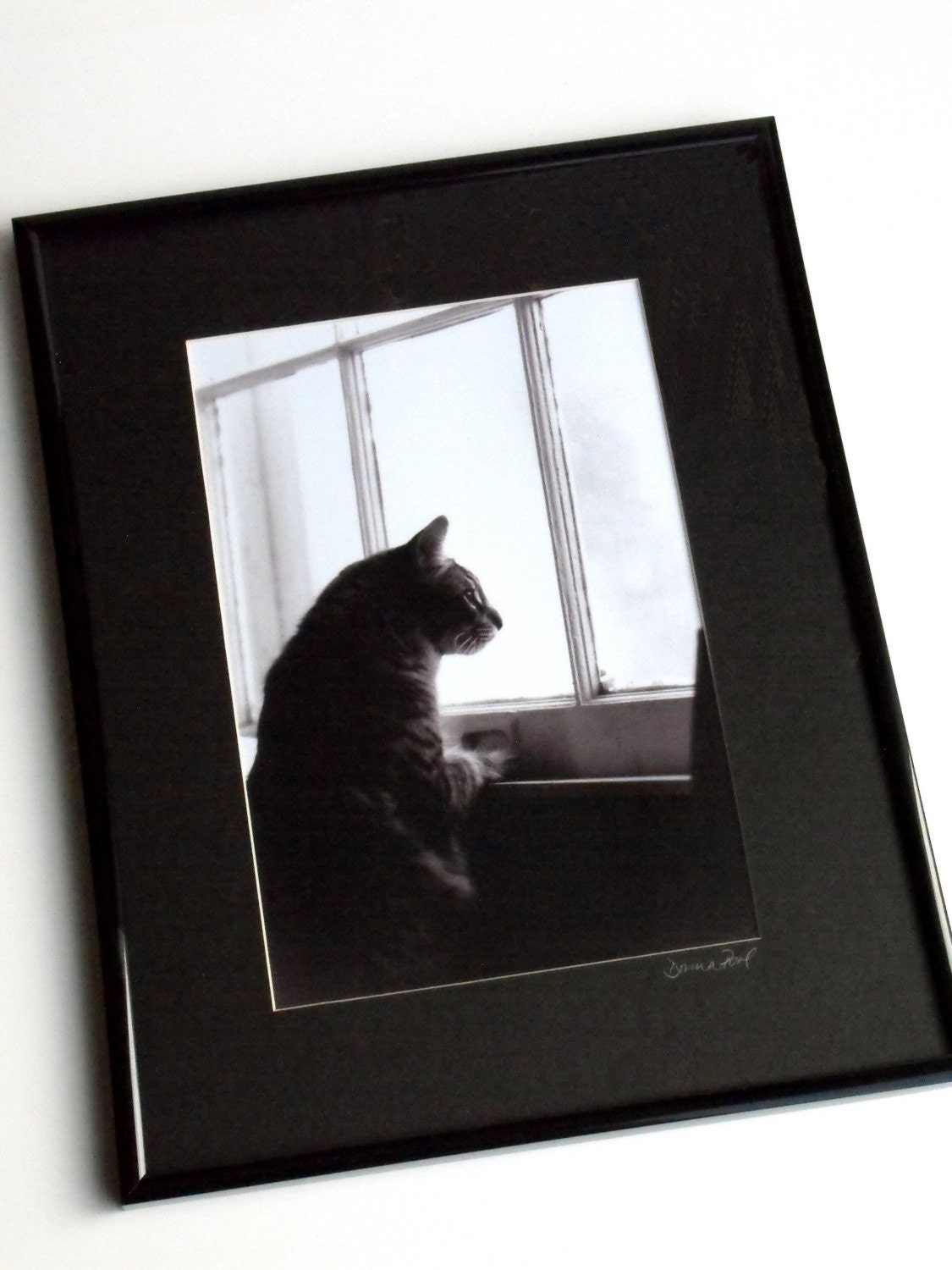 Original Photo Print Matted 8x10 in 11x14 Frame
