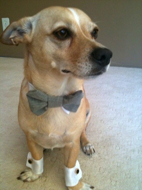 Wedding Dog Cuffs and Formal Bow Tie All Sizes