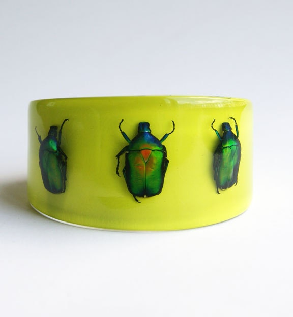 Lucite bracelet with real bugs
