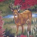 Autumn Deer Fabric