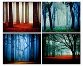 Fairytale Collection II - woods trees fog fairytale red forest - decorative photography prints
