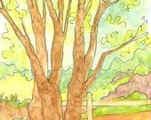 Cards - Tree, set of 4 FREE Shipping in USA