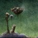 Greeting the Atmosphere 5x7